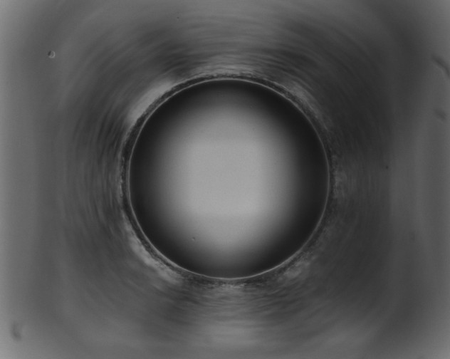 X0000101951038200807181446