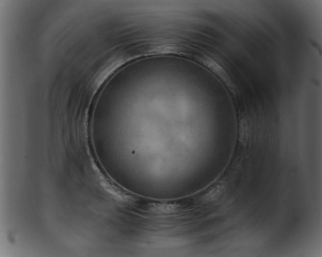 X0000101951039200807181446