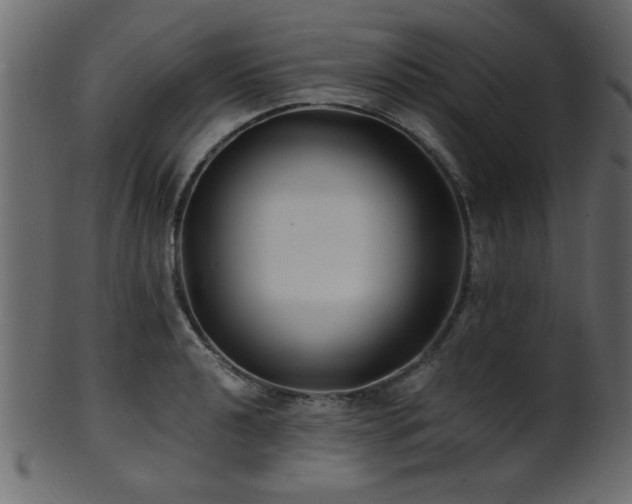 X0000101951040200807181446