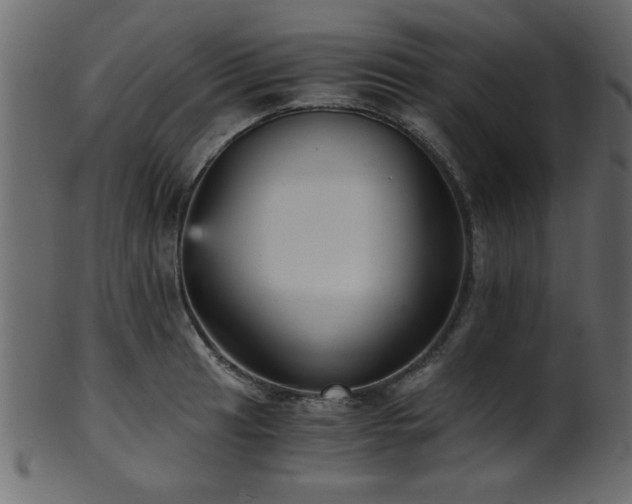 X0000101951041200807181446