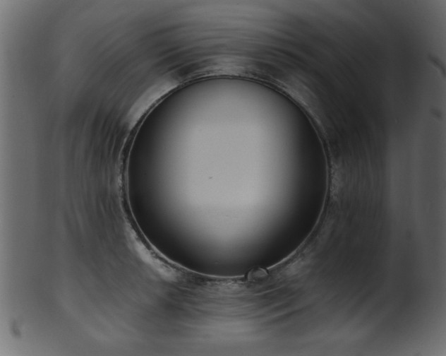 X0000101951042200807181446