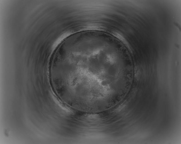 X0000101951043200807181446