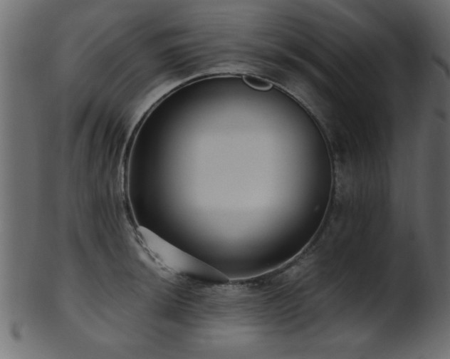 X0000101951044200807181446