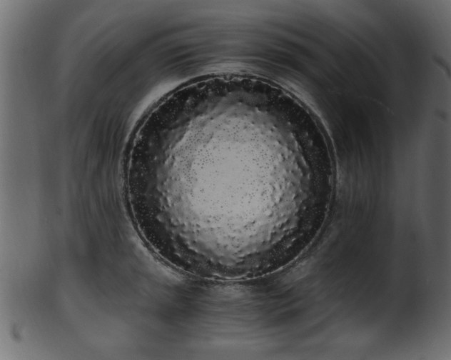 X0000101951045200807181446