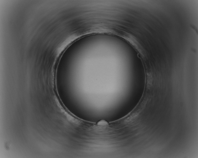 X0000101951046200807181446