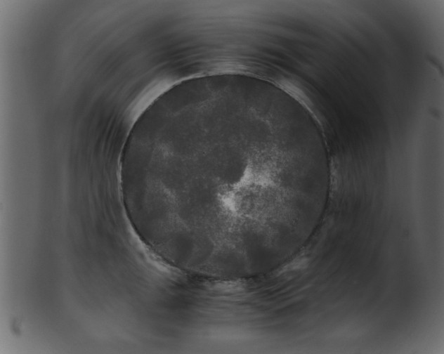 X0000101951047200807181446