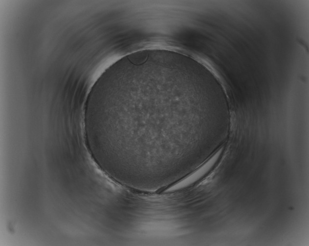 X0000101951048200807181446