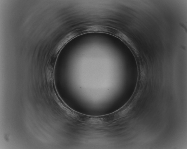 X0000101951049200807181446