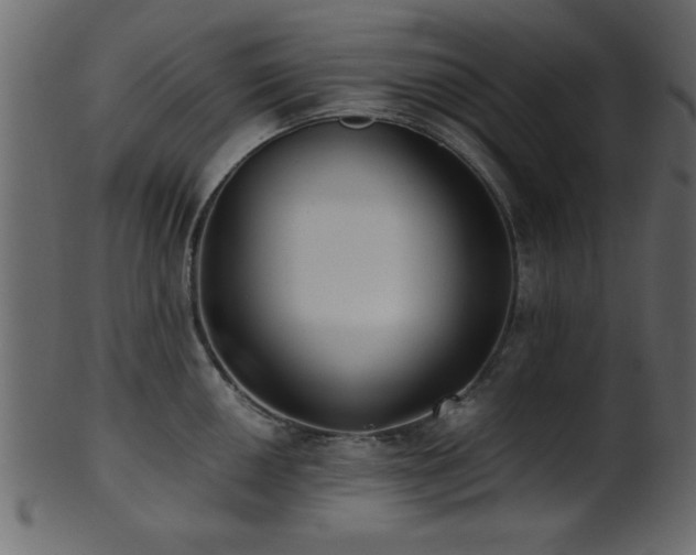 X0000101951050200807181446