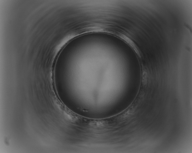 X0000101951051200807181446