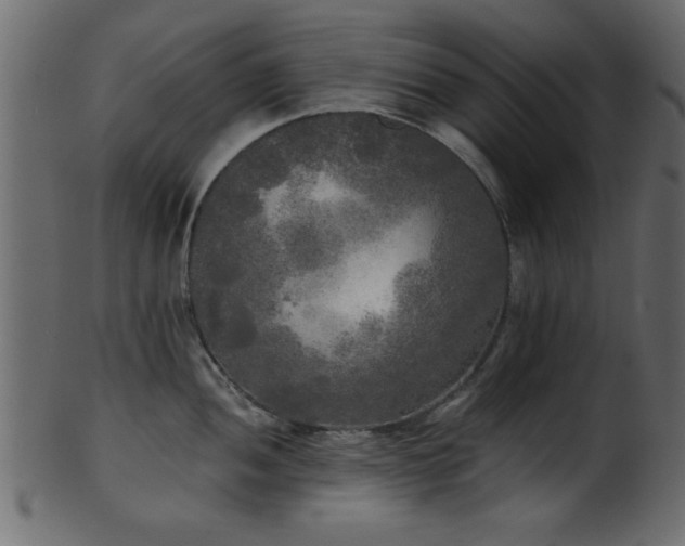 X0000101951052200807181446