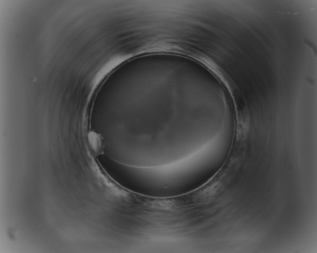 X0000101951053200807181446