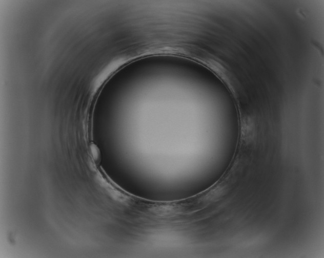 X0000101951054200807181446