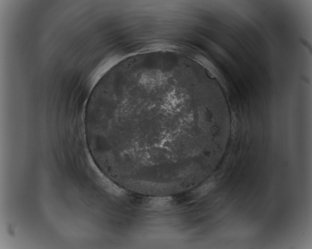 X0000101951055200807181446