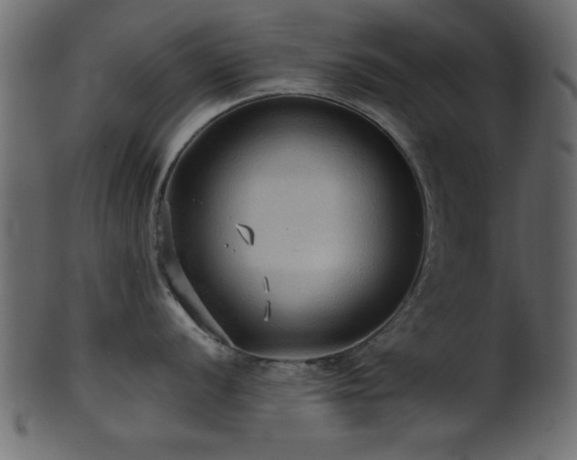 X0000101951056200807181446