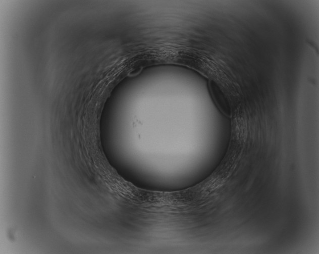 X0000101951057200807181445