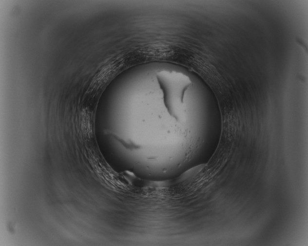 X0000101951058200807181445