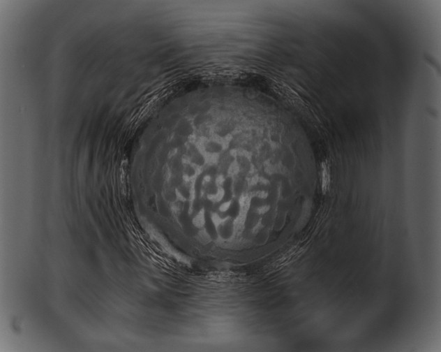 X0000101951059200807181445