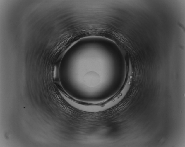 X0000101951060200807181445