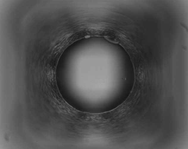 X0000101951061200807181445