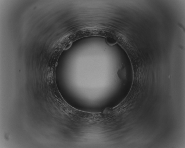 X0000101951062200807181445