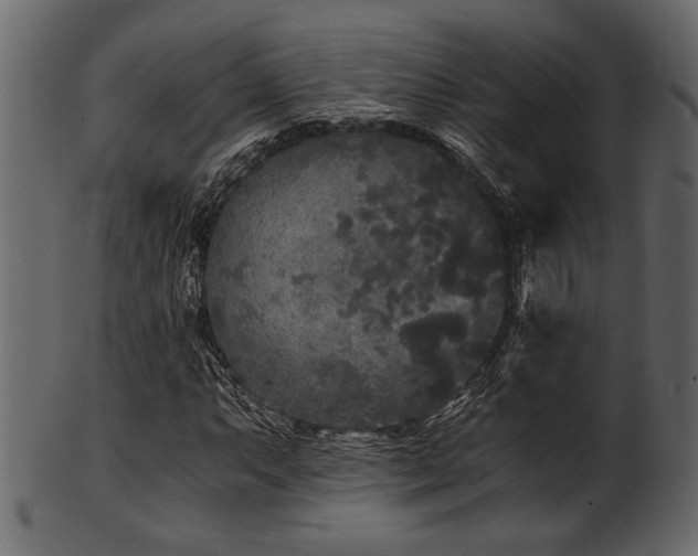 X0000101951063200807181445