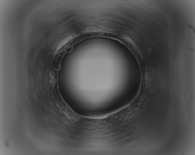 X0000101951064200807181445