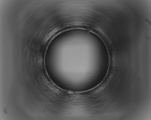 X0000101951065200807181445