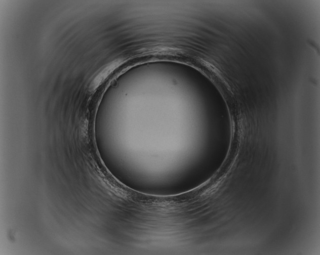 X0000101951066200807181445