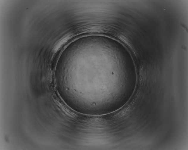 X0000101951067200807181445