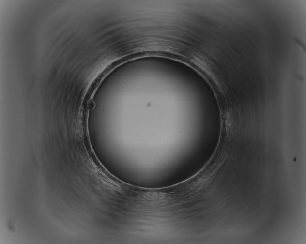 X0000101951068200807181445