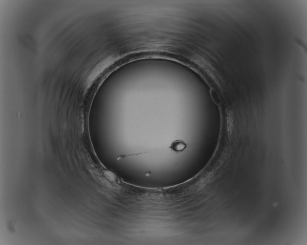 X0000101951069200807181445