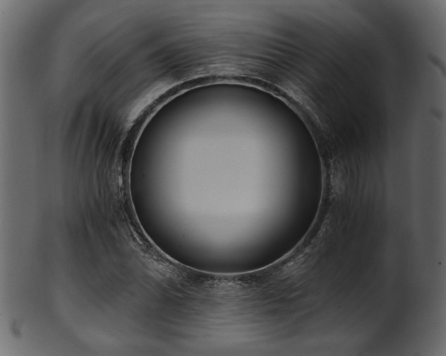 X0000101951070200807181445