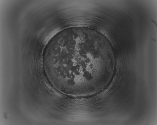 X0000101951071200807181445