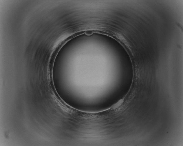 X0000101951072200807181445