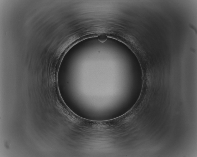 X0000101951073200807181445