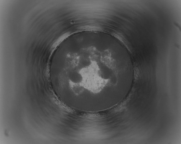 X0000101951074200807181445