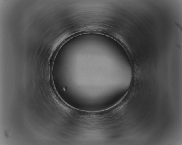 X0000101951075200807181445