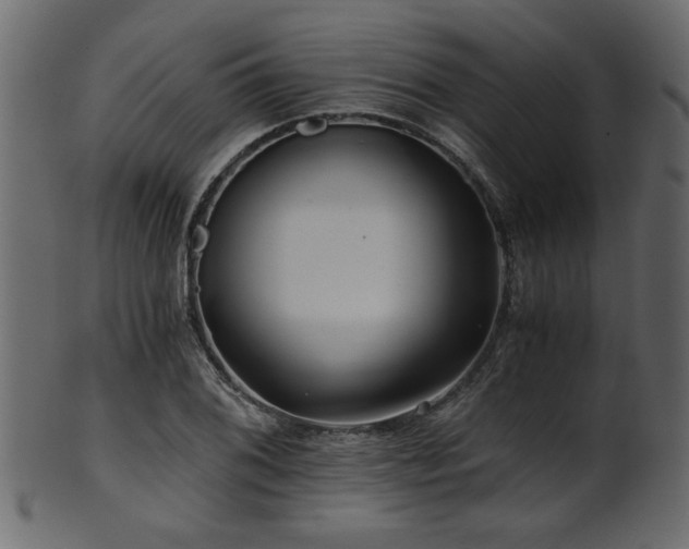 X0000101951076200807181445