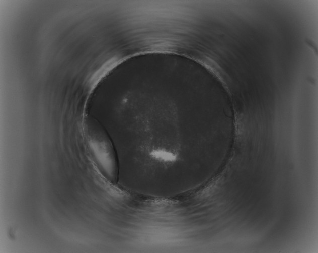 X0000101951077200807181445