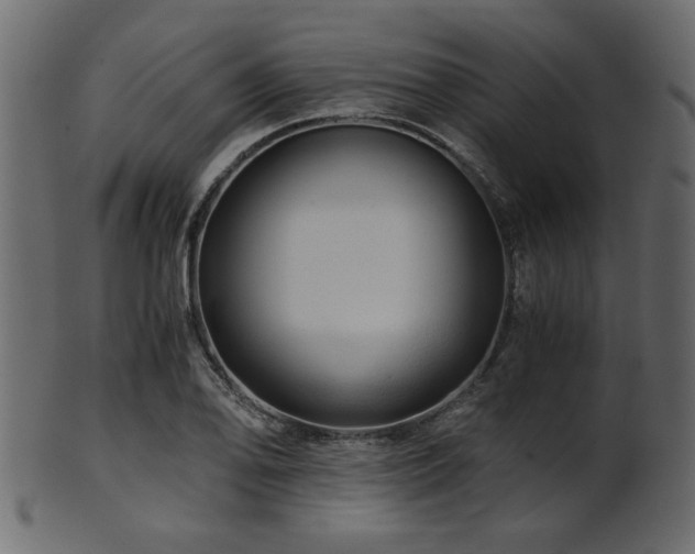 X0000101951078200807181445