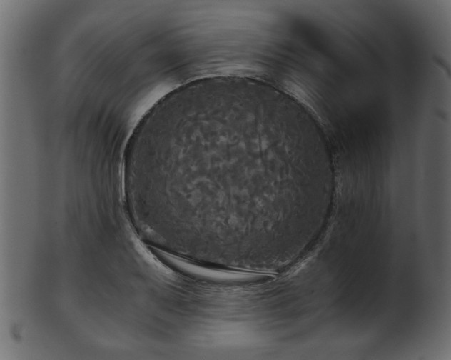 X0000101951079200807181445