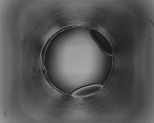 X0000101951080200807181445