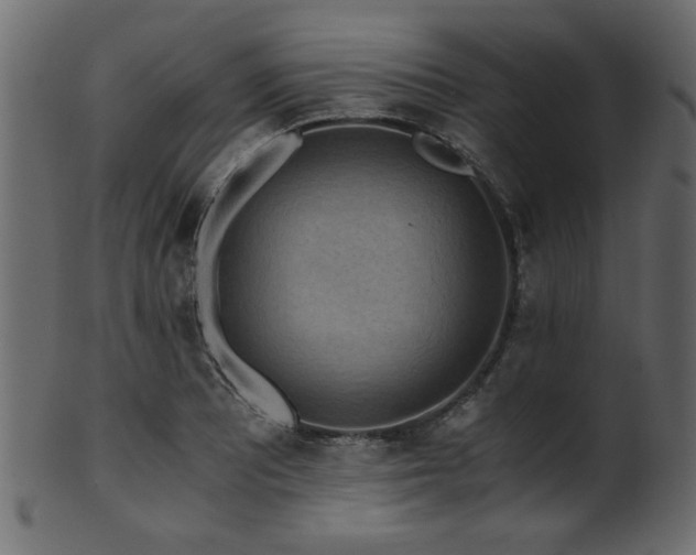 X0000101951081200807181445