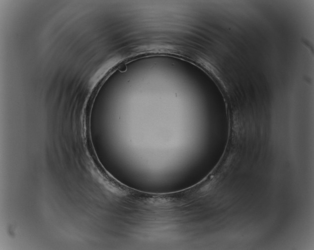 X0000101951082200807181445