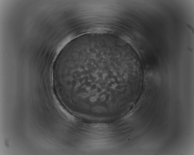 X0000101951083200807181445