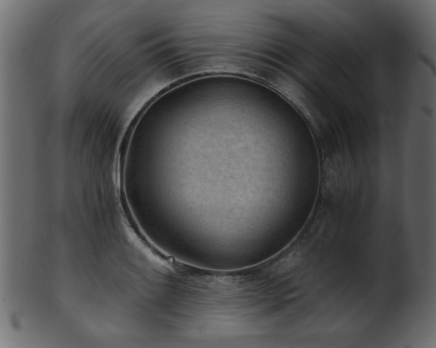 X0000101951084200807181445