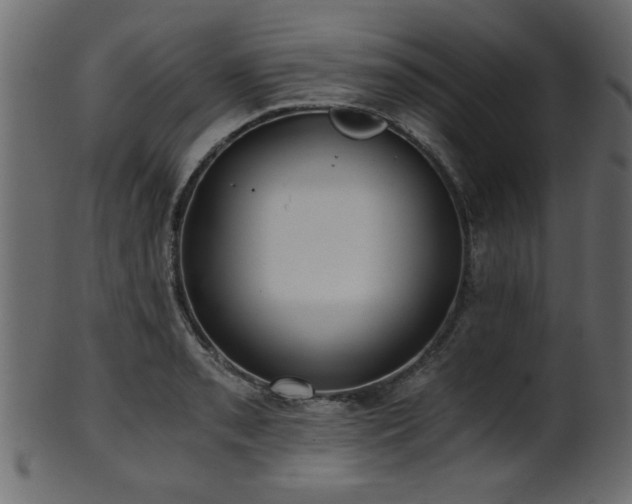 X0000101951085200807181445