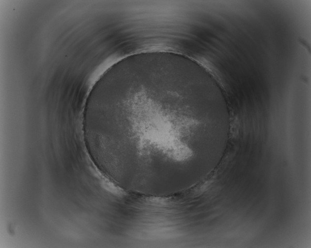 X0000101951086200807181445