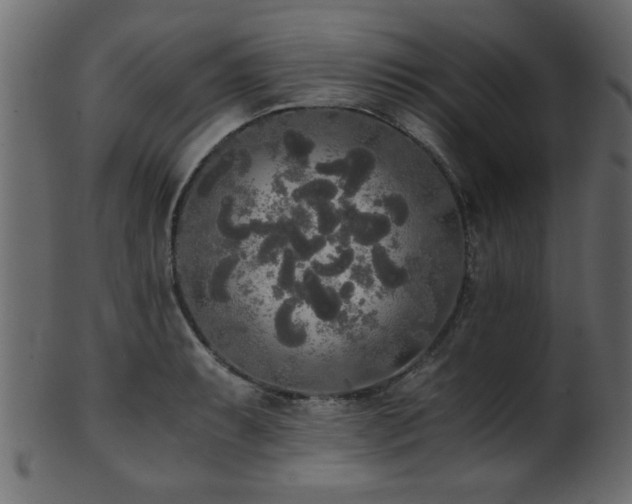 X0000101951087200807181445